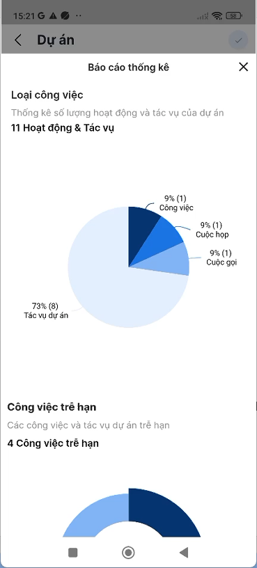 Biểu đồ hình tròn thống kê loại công việc