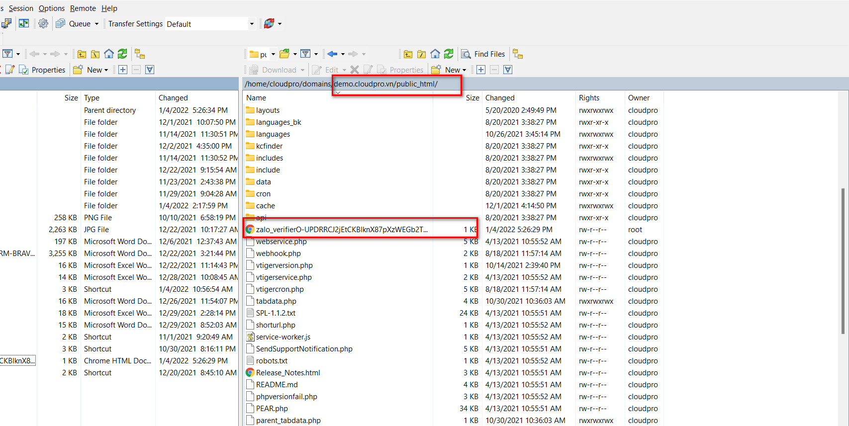 Deploy tệp HTML xác thực domain vào thư mục root của dự án